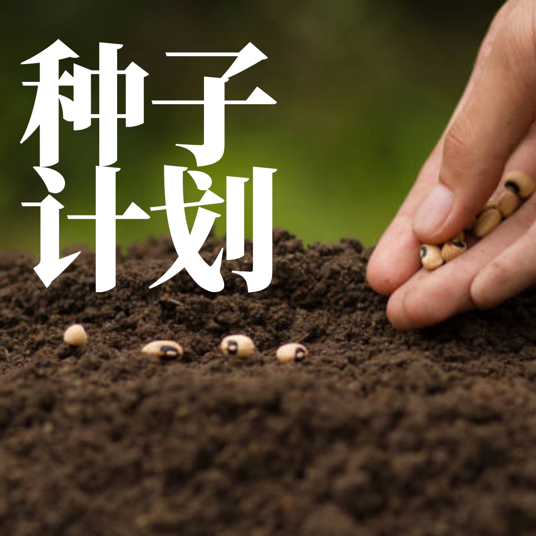 种子计划
