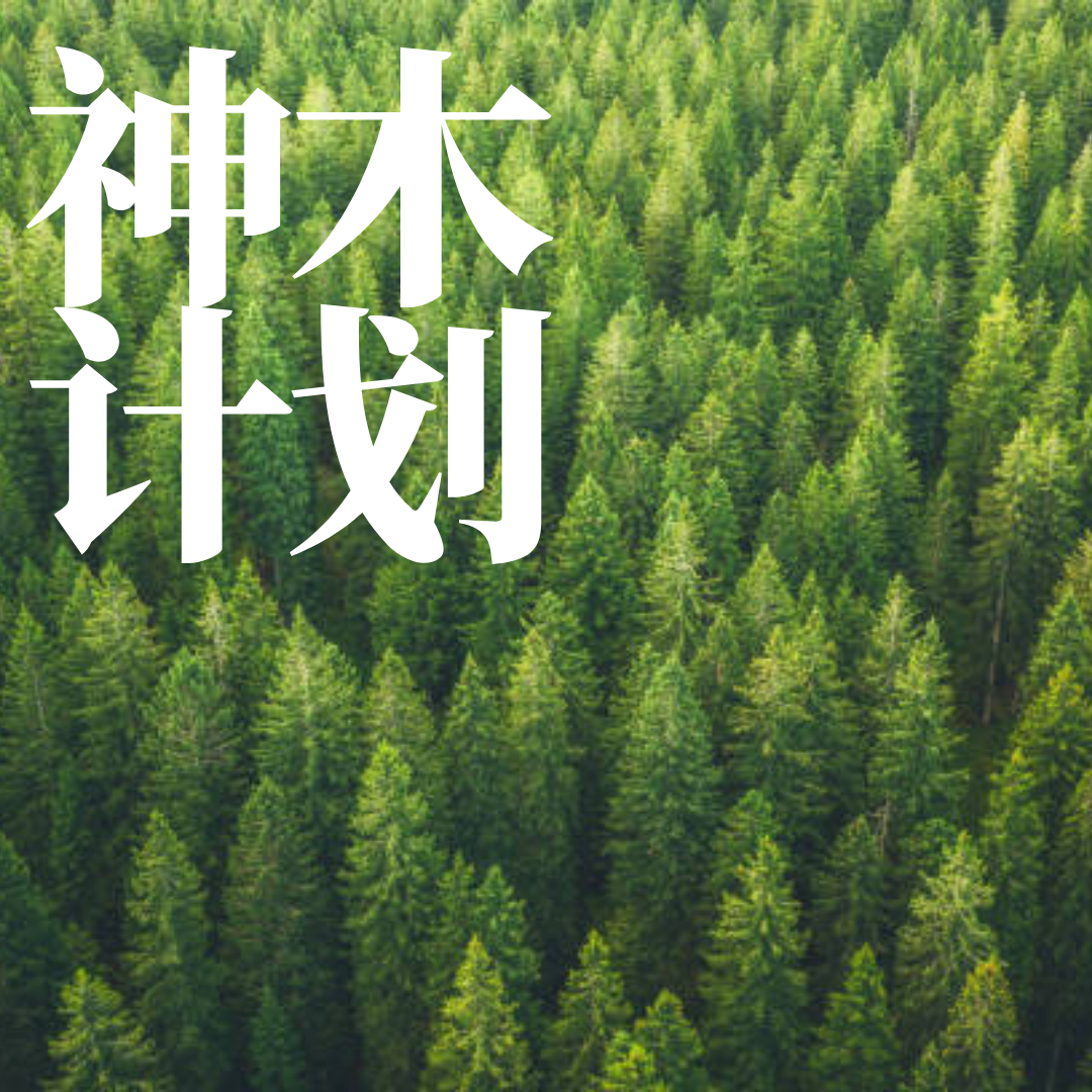 神木计划